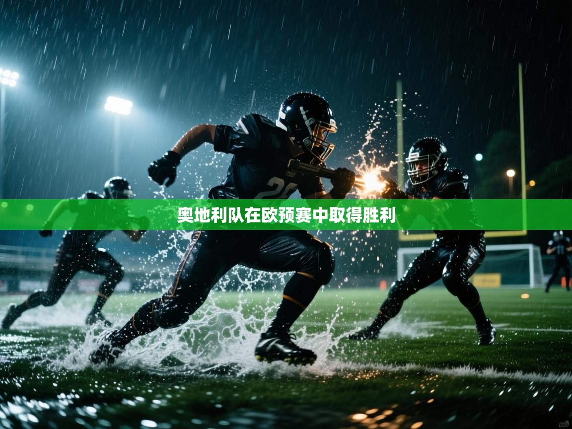 奥地利队在欧预赛中取得胜利 第2张