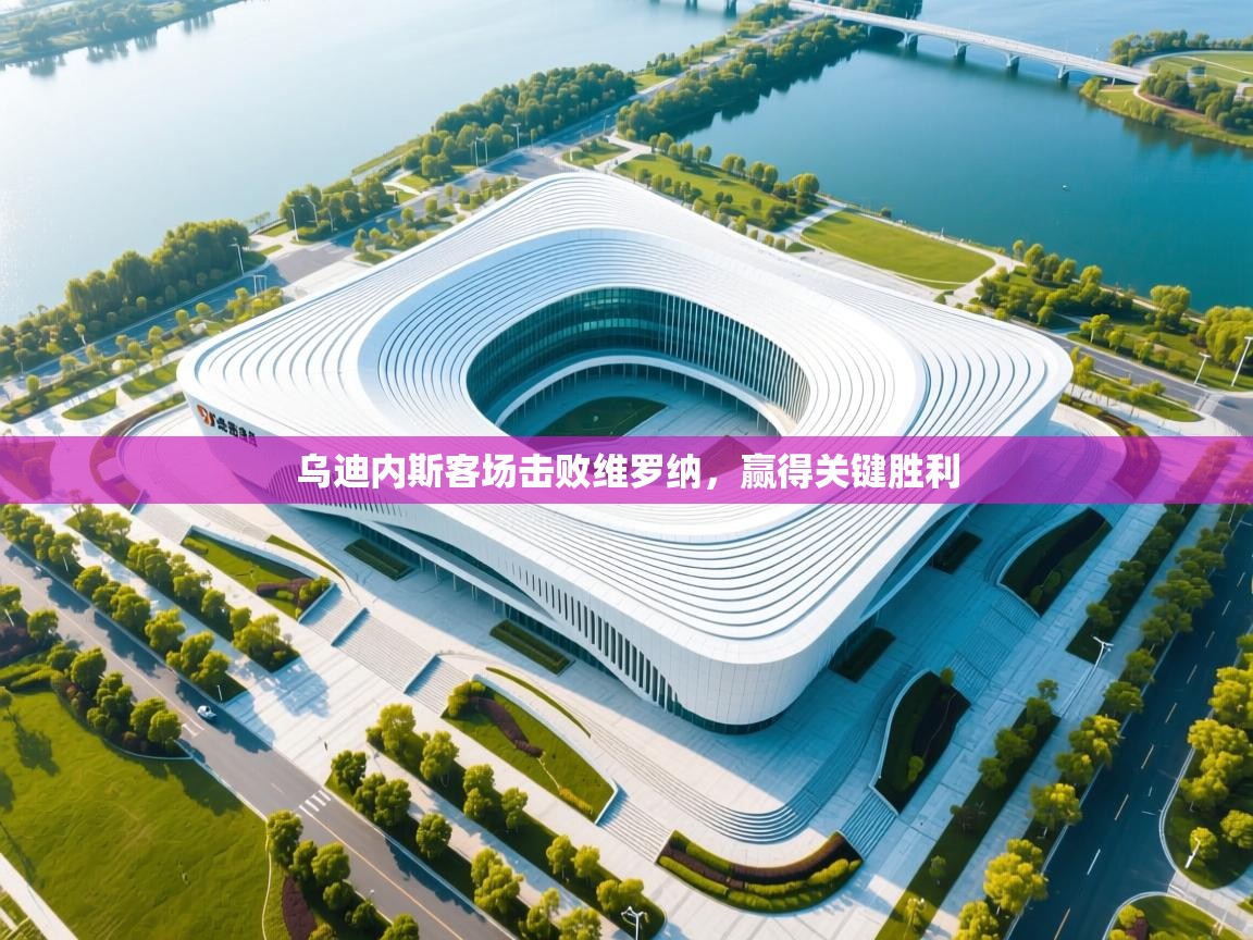 乌迪内斯客场击败维罗纳，赢得关键胜利