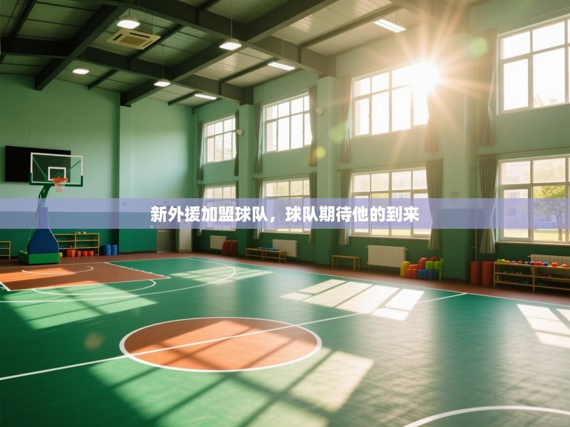 新外援加盟球队，球队期待他的到来  第2张