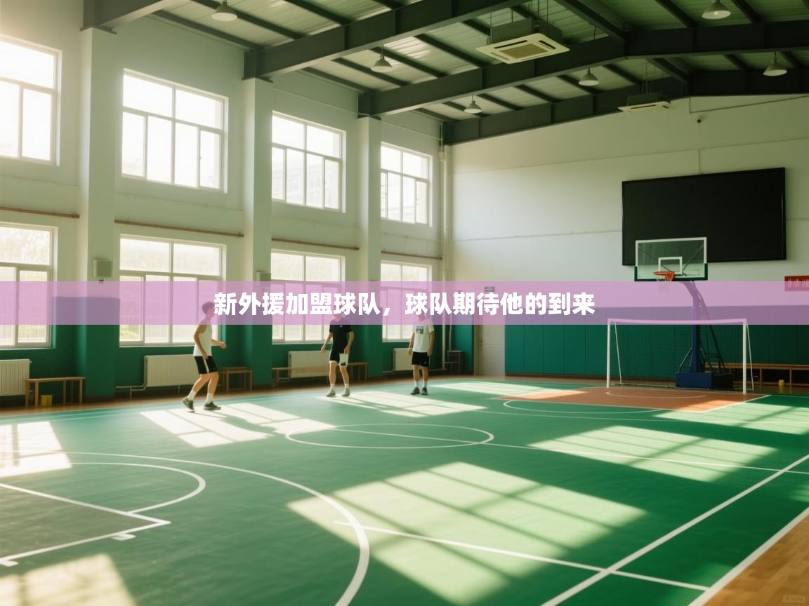 新外援加盟球队，球队期待他的到来  第1张