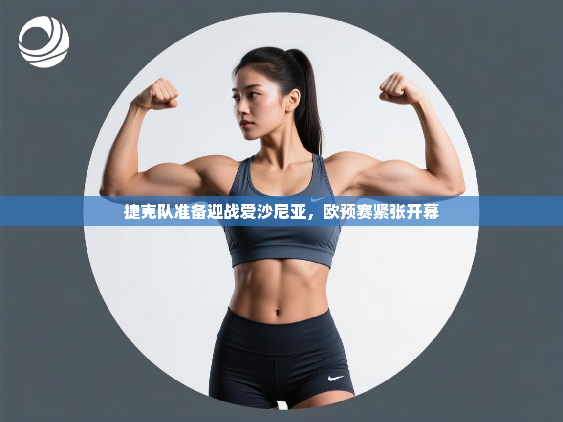 捷克队准备迎战爱沙尼亚，欧预赛紧张开幕  第2张