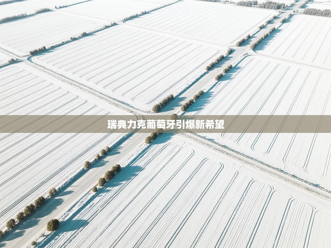 瑞典力克葡萄牙引爆新希望